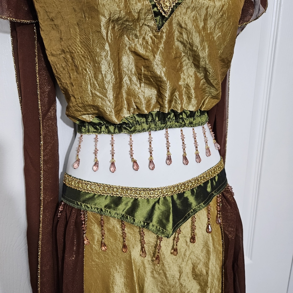 EXOTIC BELLY DANCER Womens Halloween Sz 10-14 Med/Lg Gold Brown Green Costume - Picture 5 of 8